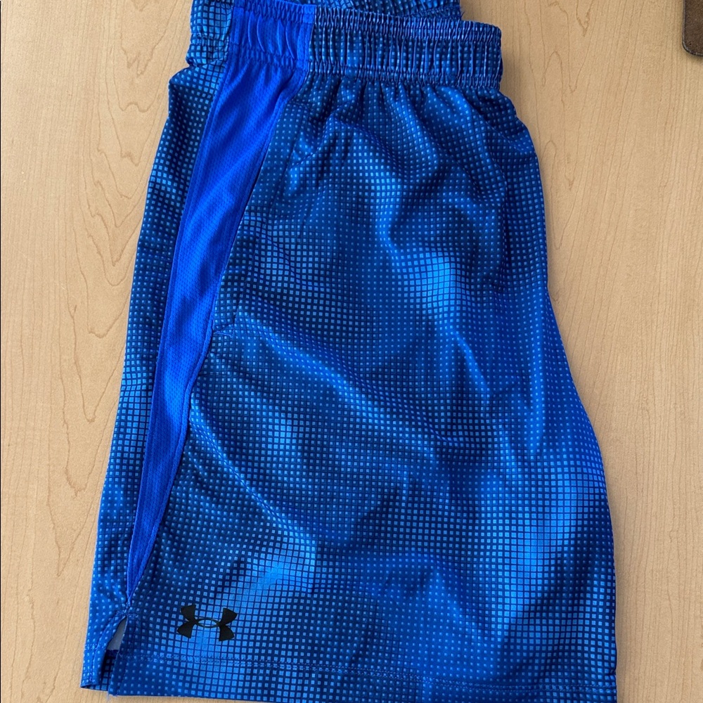 Under Armour Men’s Electric Blue Grid Shorts
